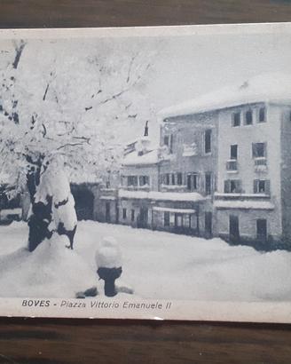 cartoline 