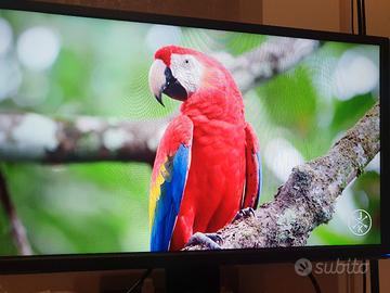 monitor LED 24'' orizzontale/verticale