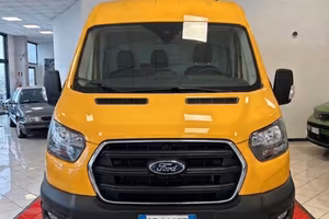 Ford Transit 290 2.0TDCi EcoBlue PM-TM Furgone Ent