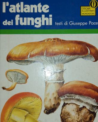 L' atlante dei funghi 