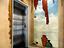 Immagine 27