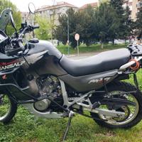 HONDA TRANSALP XLV 600 DEL 1998