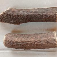 Gioco per cani di taglia media