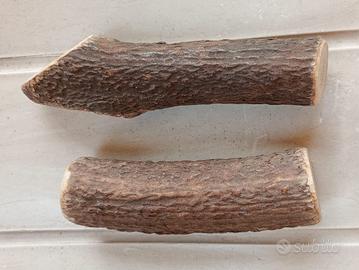 Gioco per cani di taglia media