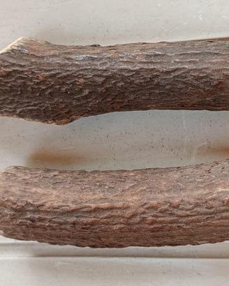 Gioco per cani di taglia media