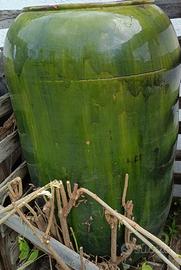 VASO IN TERRACOTTA GRANDI DIMENSIONI