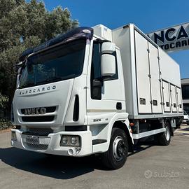 Iveco Eurocargo 65e16 2012 Frigo e Sponda Euro 5
