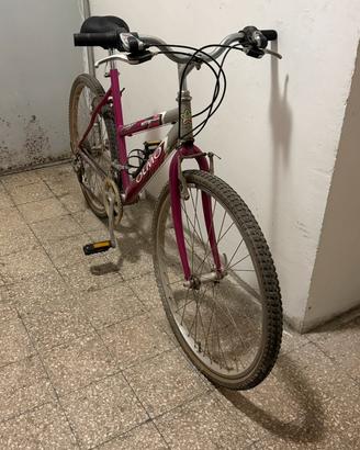 Bici Olmo 26