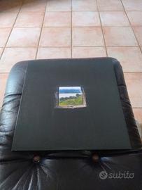 Fast Animals And Slow Kids Alaska Lp Limited White