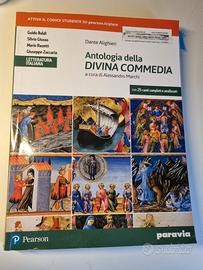 antologia della divina commedia