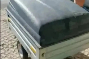 Carrello Ellebi modello Contenitore