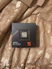 Processore rayzen 5