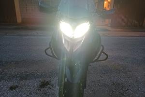 benelli trk 502x