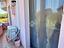 Immagine 21