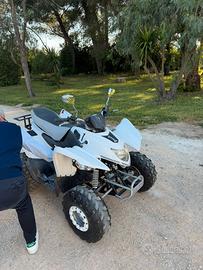 Quad omologato