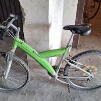 bicicletta 