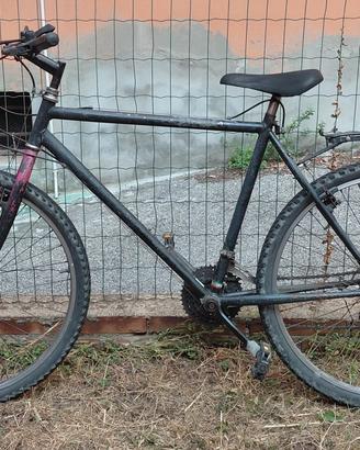 Bici mountain bike