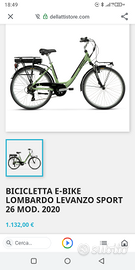 Bici elettrica lombardo