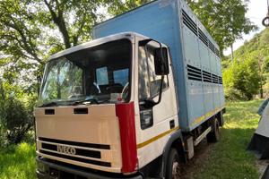 Autocarro con doppia cassa