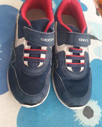 scarpa Geox