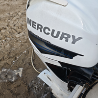 Mercury 270 ore