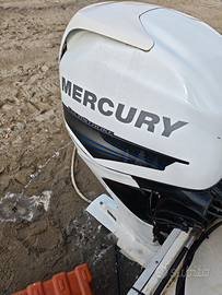 Mercury 270 ore