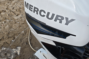 Mercury 270 ore