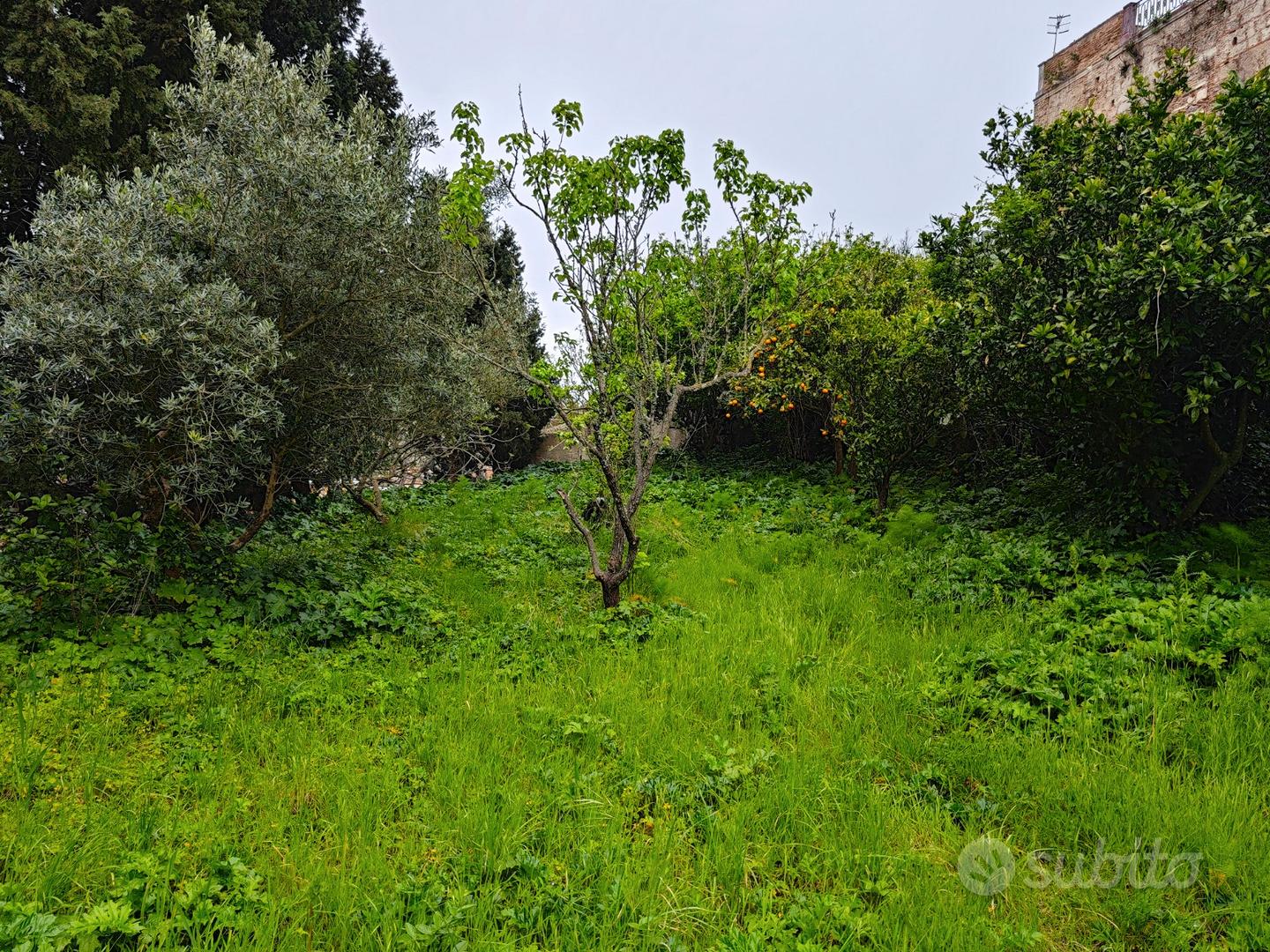 Terreno Edificabile a CASTANEA - Vista 4