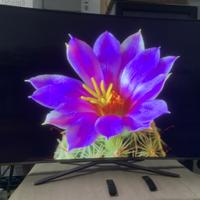 Smart tv SAMSUNG schermo oled 65 pollici curvo