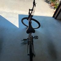 Bicicletta mountain bike