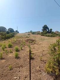 Terreno agricolo Santa Flavia Ter/73