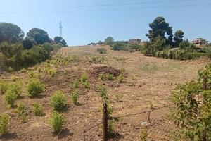 Terreno agricolo Santa Flavia Ter/73