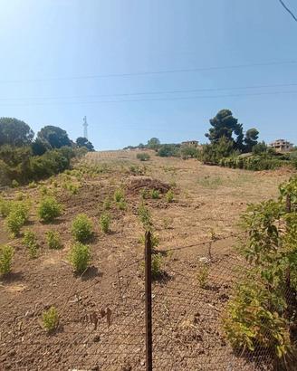 Terreno agricolo Santa Flavia Ter/73