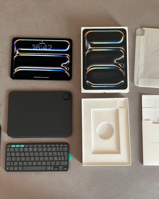 iPad Pro 11” M4 256GB WiFi - 100% Batteria