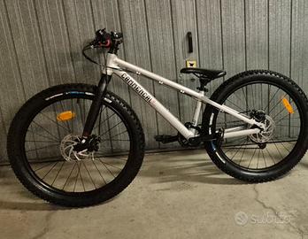 mountain bike 24