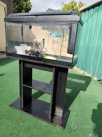 Acquario 80 LT 
