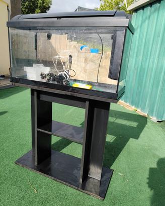 Acquario 80 LT 