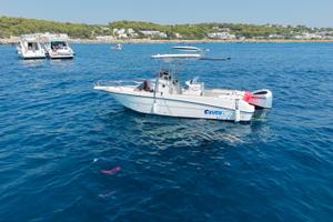 SEVEN 730 FISH - HONDA 250CV 8 ORE
