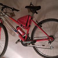 Mountain bike