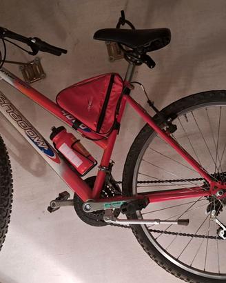 Mountain bike