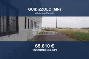 Immobile in asta di 667 m² a Guidizzolo