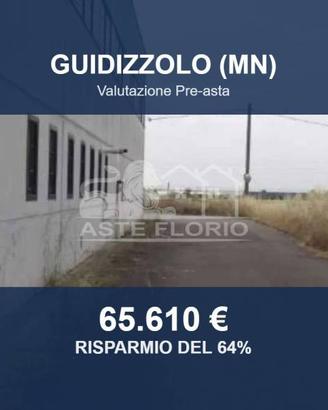 Immobile in asta di 667 m² a Guidizzolo