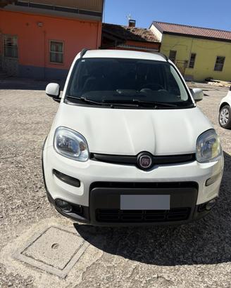 Panda Hybrid 2023