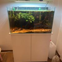 Acquario 100lt completo