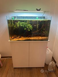 Acquario 100lt completo