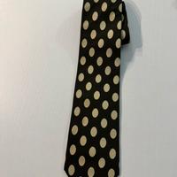 Cravatta Ermenegildo Zegna