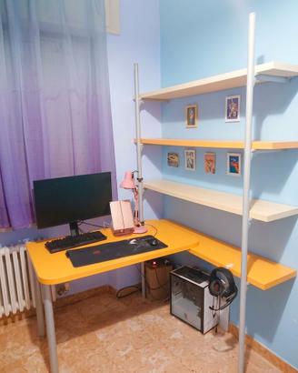 Scrivania + libreria scaffale