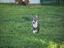 Immagine 21