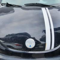 VOLKSWAGEN NEW BEETLE 2004 - COFANO ANTERIORE