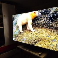 LG G4 65” Difettata Leggere Descrizione